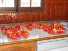 08-08-tomates3.jpg